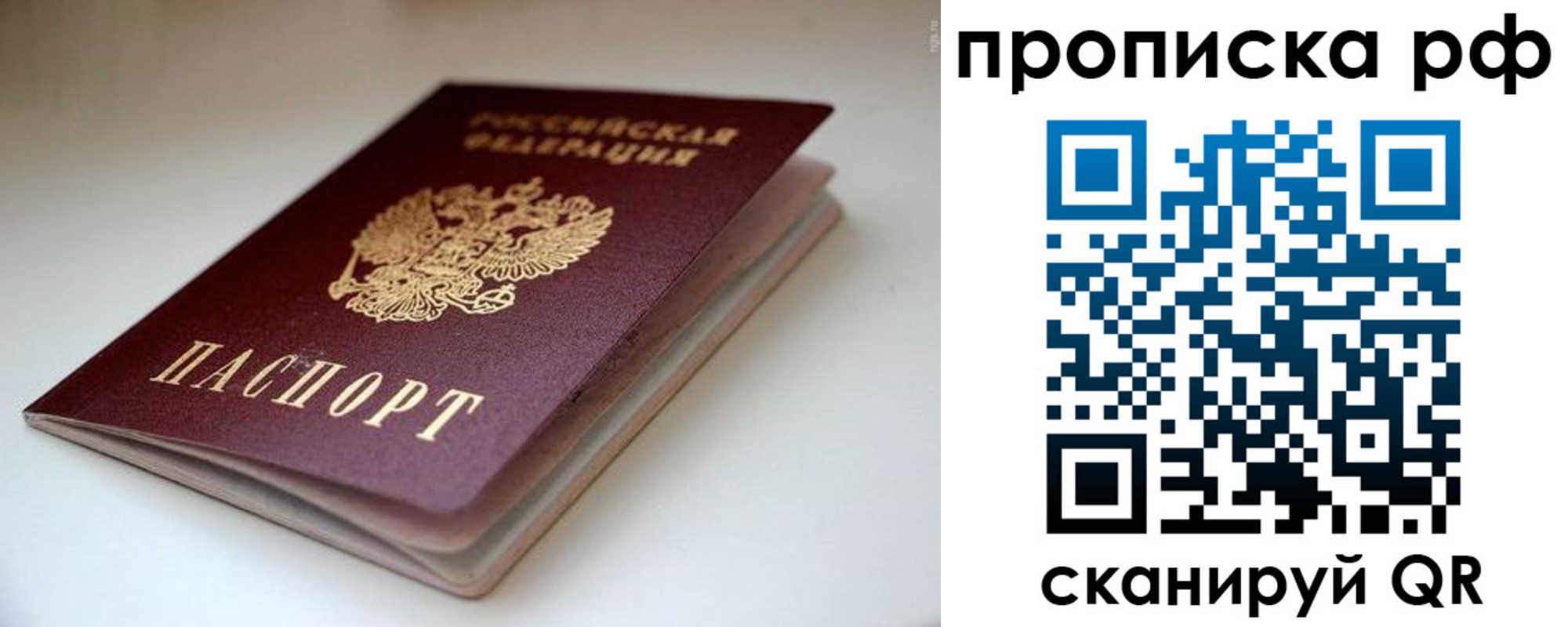 прописка 2025 в Александрове